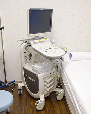 東芝　超音波診断装置　Xario100